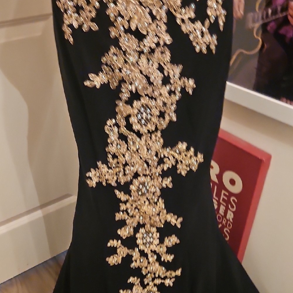 Anny Lee Black Maxi Dress with Gold Embellishment - Picture 5 of 13